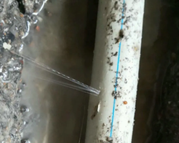 黑河卫生间测漏水多少钱