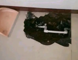 黑河卫生间测漏水多少钱